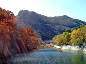 澳门期期准免费精准，平陆野猪